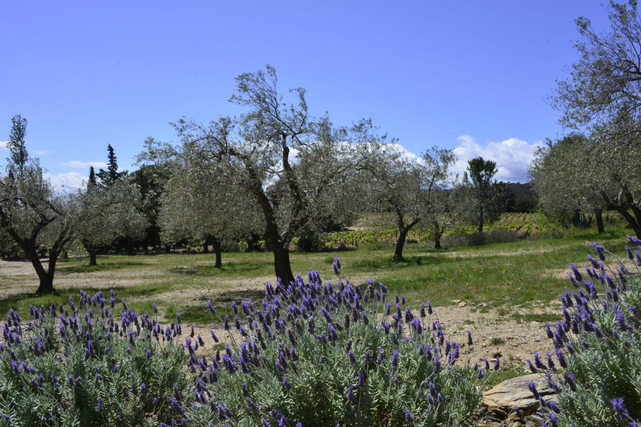 El Recer De Masia Serra Cantallops Exterior foto